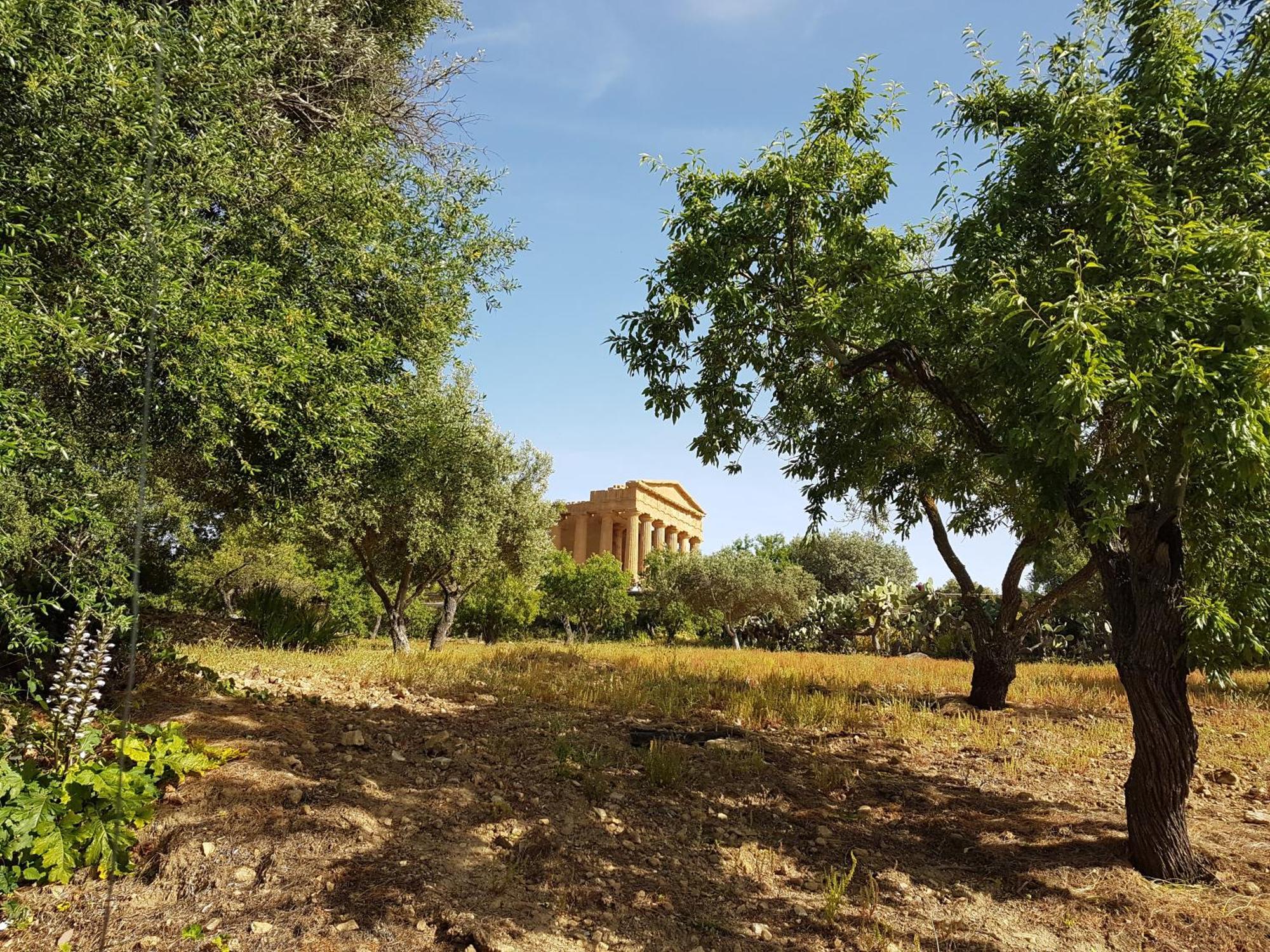 Lala Salama San Leone Exterior photo